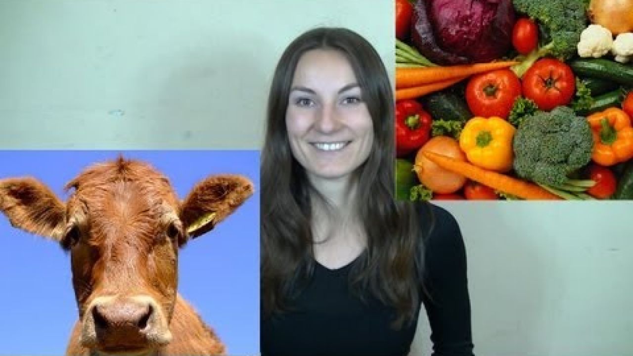 Вегетарианство - первые шаги